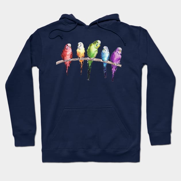 Rainbow budgie birds Hoodie by Bridgetdav